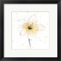 Framed 'Gilded Graphite Floral II' border=