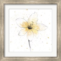 Framed 'Gilded Graphite Floral II' border=