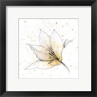 Framed 'Gilded Graphite Floral IX' border=