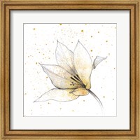 Framed 'Gilded Graphite Floral IX' border=