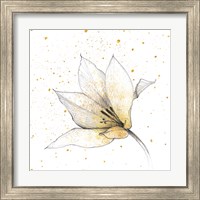 Framed 'Gilded Graphite Floral IX' border=