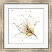 Framed 'Gilded Graphite Floral IX' border=