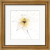 Framed 'Gilded Graphite Floral V' border=