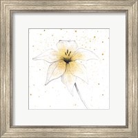 Framed 'Gilded Graphite Floral V' border=