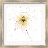 Framed 'Gilded Graphite Floral V' border=