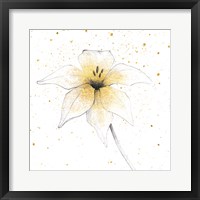 Gilded Graphite Floral V Framed Print