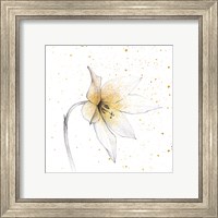 Framed 'Gilded Graphite Floral VIII' border=