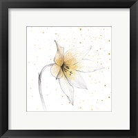 Framed 'Gilded Graphite Floral VIII' border=