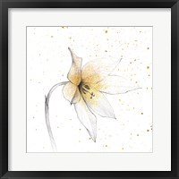 Gilded Graphite Floral VIII Framed Print