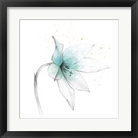 Framed 'Teal Graphite Flower VIII' border=