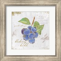 Framed Garden Treasures V