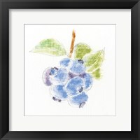 Garden Delight II Framed Print