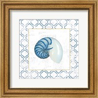 Framed 'Navy Nautilus Shell on Newsprint with Gold' border=