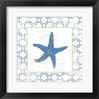 Framed Navy Starfish on Newsprint with Gold