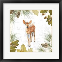 Into the Woods III Framed Print