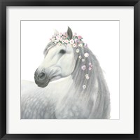 Framed 'Spirit Stallion II Square' border=