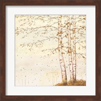 Framed Golden Birch II Off White