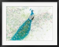 Framed Spring Peacock I