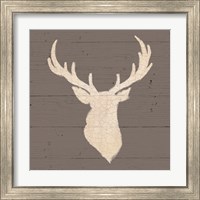 Framed 'Rustic Elegance I on Gray Wood' border=