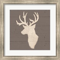 Framed Rustic Elegance II on Gray Wood