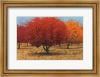 Framed Orange Trees II