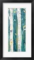 Framed Birches in Spring Panel II