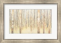 Framed Birches in Winter