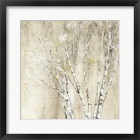 Framed Blue Birch Neutral