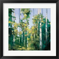 Framed 'Birches' border=