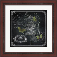 Framed 'Chalkboard Botanical II' border=