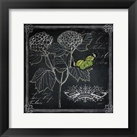 Framed Chalkboard Botanical I