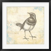 Engraved Birds II Framed Print