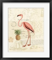 Floridian IV Framed Print