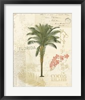 Floridian II Framed Print