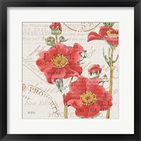 Bookshelf Botanical V Framed Print