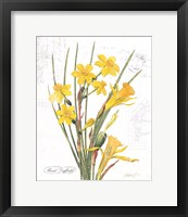 March Daffodil on White Framed Print