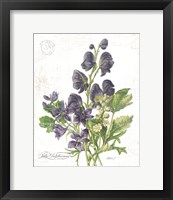 July Delphinium on White Framed Print