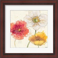 Framed 'Painted Poppies IV' border=