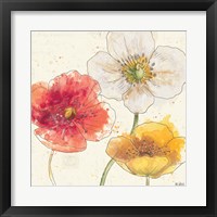 Framed 'Painted Poppies IV' border=