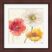 Framed 'Painted Poppies IV' border=