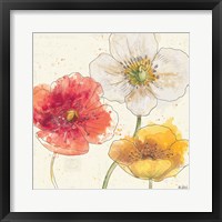 Painted Poppies IV Framed Print