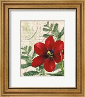 Framed 'Vintage Noel III' border=