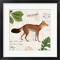 Lodge Collage VI Framed Print