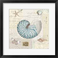 Beach Wonders IV Framed Print