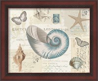 Framed 'Beach Wonders II' border=