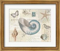 Framed 'Beach Wonders II' border=