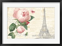 Framed Roses in Paris II