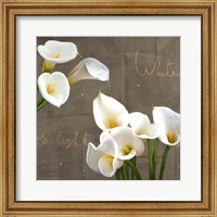 Framed 'White Callas' border=