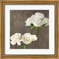 Framed 'White Roses' border=