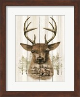 Framed Deer Wilderness Portrait